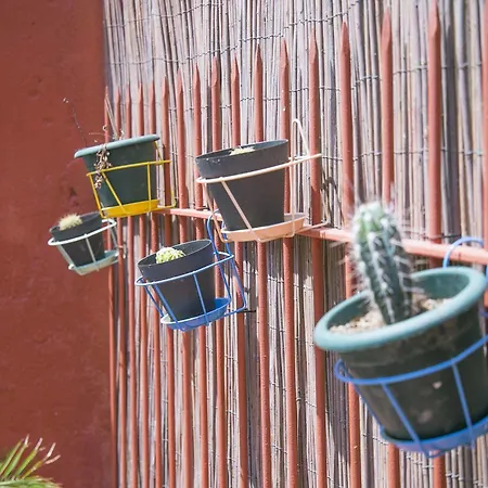 旅馆 塔拉戈纳旅舍