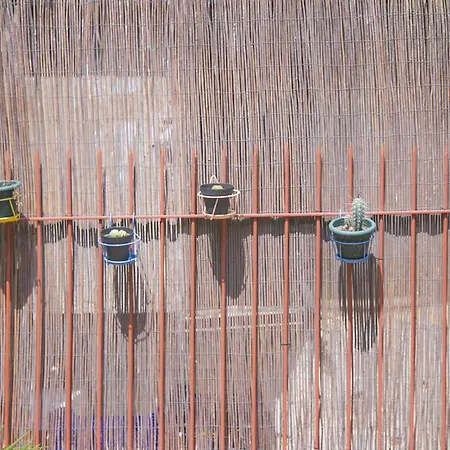 塔拉戈纳旅舍 旅馆 *