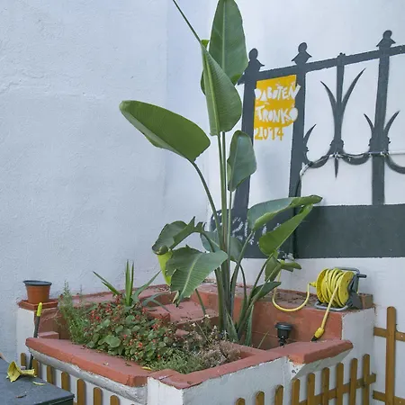 Vandrarhem Tarragona Hostel *